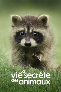 La Vie secrète des animaux