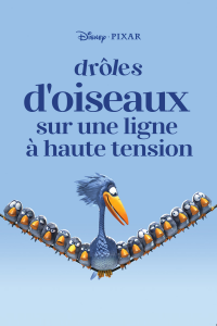 Drôles d'oiseaux sur une ligne à haute tension