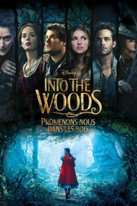 Into the Woods : Promenons-nous dans les bois