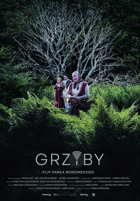 Grzyby