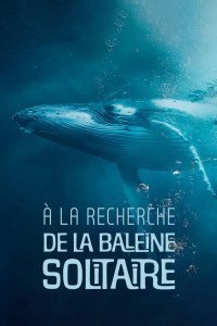 À la recherche de la baleine solitaire