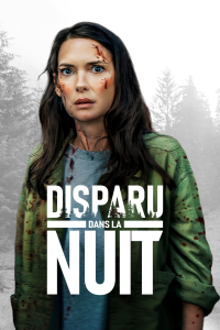 Disparu dans la nuit streaming