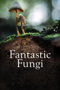 Fantastic Fungi streaming