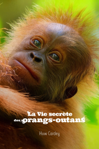 La Vie secrète des orangs-outans streaming