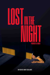 Lost In The Night