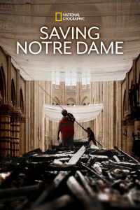 Saving Notre Dame