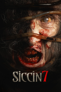 Siccin 7