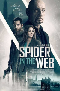 Spider in the Web streaming