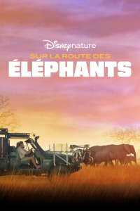 Sur la route des éléphants streaming