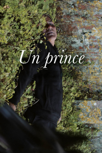 Un prince streaming