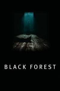 Les Secrets de la forêt noire