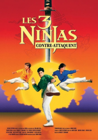 Ninja Kids 2 : Les 3 Ninjas contre-attaquent