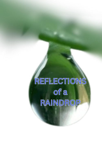 Reflections in a Raindrop: A Student Film