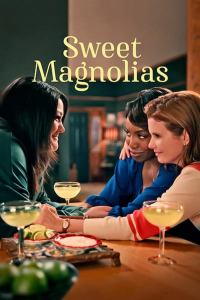 À l'ombre des magnolias Saison 3 en streaming français