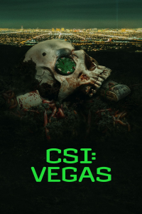 CSI: Vegas saison 2 épisode 13