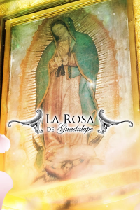 voir La rosa de Guadalupe saison 1 épisode 59