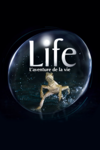 Life, l'aventure de la vie streaming