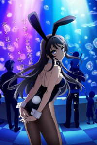 voir Rascal Does Not Dream of Bunny Girl Senpai saison 1 épisode 4