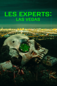 Les Experts : Las Vegas Saison 3 en streaming français