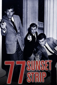 voir 77 Sunset Strip saison 5 épisode 31