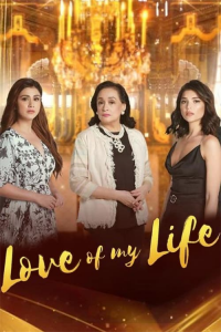 voir Love of My Life saison 1 épisode 15