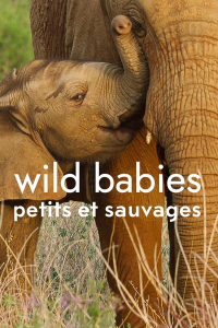 Wild Babies : Petits et Sauvages