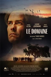 Le domaine streaming