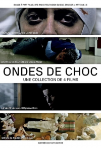 voir Ondes de choc Saison 1 en streaming 